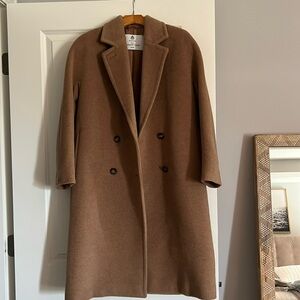 Aritzia Babaton The Slouch Coat